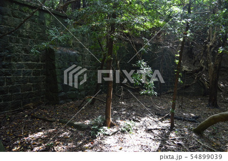 和歌山県・友ヶ島 54899039