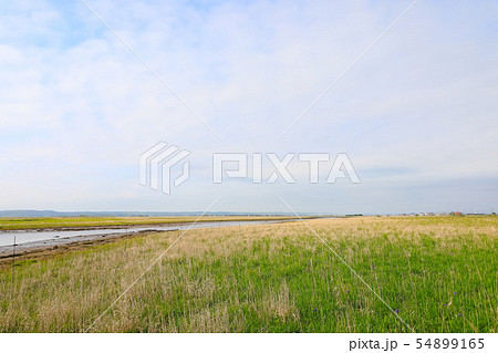 霧多布湿原 54899165