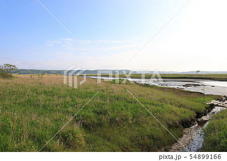 霧多布湿原 54899166