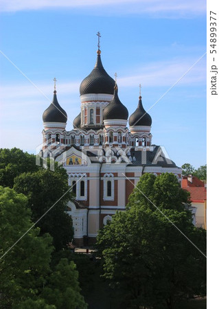 タリン　アレクサンドルネフスキー聖堂 54899377