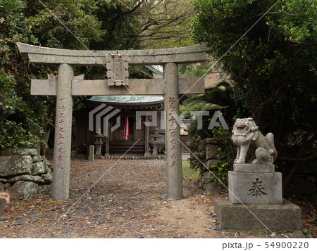元寇の古戦場であった対馬の小茂田濱神社の鳥居と本堂　10月 54900220