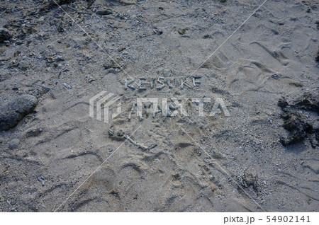 竹富島の砂浜 54902141