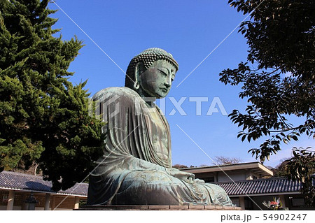 ■□神奈川県□■ 鎌倉大仏 54902247
