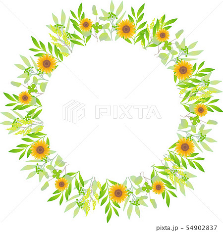 リース フレーム イラスト ひまわり Sunflower Frame 4のイラスト素材 54902837 Pixta