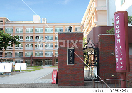 大阪成蹊学園 大阪成蹊学園 54903047