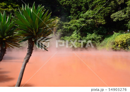 別府・血の池地獄 別府・血の池地獄 54903276