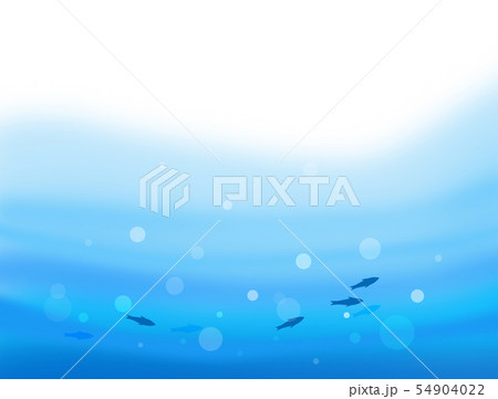 水中を泳ぐ魚 54904022