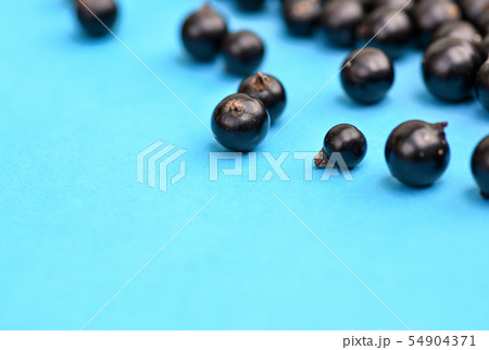 Black currant berries macro photo. Top view. Black currant berries macro photo. Top view. 54904371