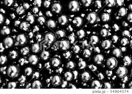 Black currant. Top view. 54904374