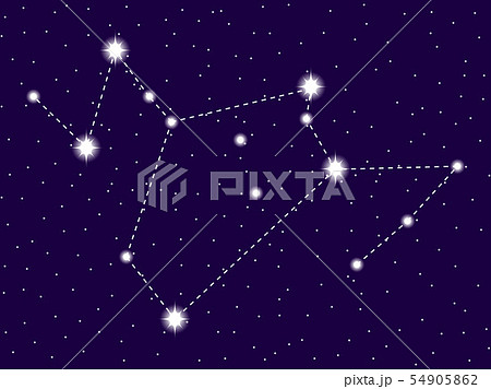 Phoenix constellation . Starry night sky. Zodiac 54905862