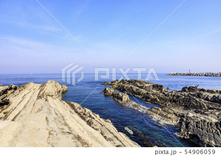 城ヶ島（初夏） 54906059