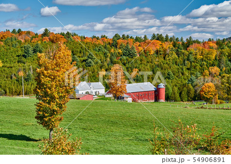 Farm with barn at sunny autumn day 54906891