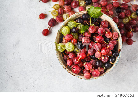 Red, green and black gooseberries in a bowl Red, green and black gooseberries in a bowl 54907053