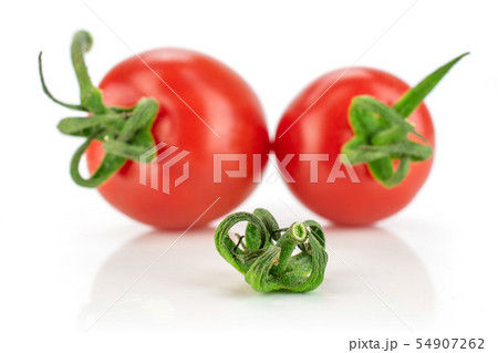 Red cherry tomato isolated on white Red cherry tomato isolated on white 54907262