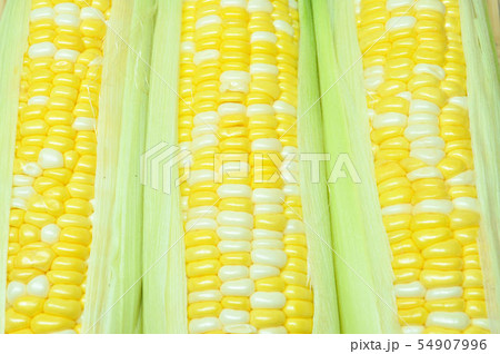 甘々娘とうもろこし 54907996