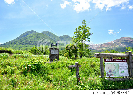 くじゅう長者原からの三俣山　九重連山　九重やまなみハイウェイ　大分県九重町 54908344
