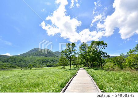 くじゅう長者原からの三俣山　九重連山　九重やまなみハイウェイ　タデ原湿原自然研究路　大分県九重町 54908345