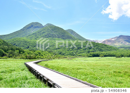 くじゅう長者原からの三俣山 九重連山 九重やまなみハイウェイ タデ原湿原自然研究路 大分県九重町 くじゅう長者原からの三俣山 九重連山 九重やまなみハイウェイ タデ原湿原自然研究路 大分県九重町 54908346