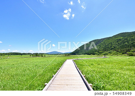 くじゅう長者原からの三俣山　九重連山　九重やまなみハイウェイ　タデ原湿原自然研究路　大分県九重町 54908349