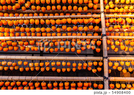 （山梨県）ころ柿の里　ころ柿の天日干し 54908400