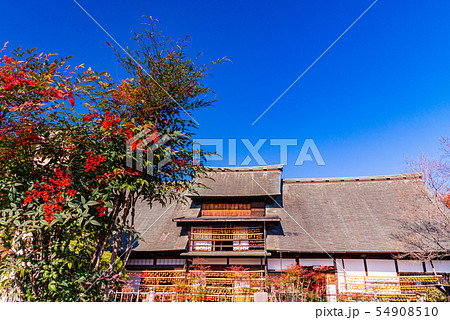 (山梨県)旧高野家住宅 (甘草屋敷) ころ柿天日干し (山梨県)旧高野家住宅 (甘草屋敷) ころ柿天日干し 54908510