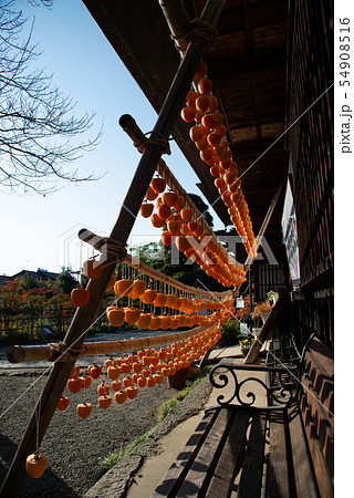 (山梨県)旧高野家住宅 (甘草屋敷) ころ柿天日干し (山梨県)旧高野家住宅 (甘草屋敷) ころ柿天日干し 54908516