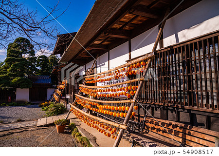 (山梨県)旧高野家住宅 (甘草屋敷) ころ柿天日干し (山梨県)旧高野家住宅 (甘草屋敷) ころ柿天日干し 54908517