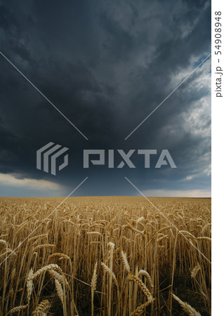 Summer Storm On Hay Field in Spain Countryside Summer Storm On Hay Field in Spain Countryside 54908948