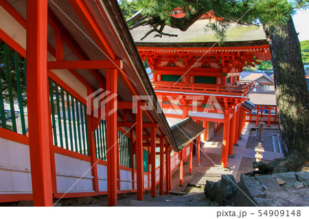 日御碕神社 54909148