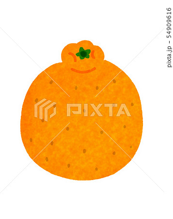 デコポン　Citrus 54909616