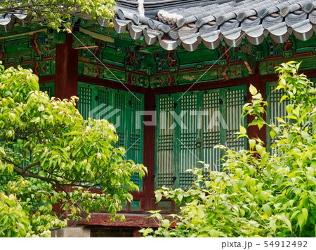 華やかさ 国 タイル 54912492