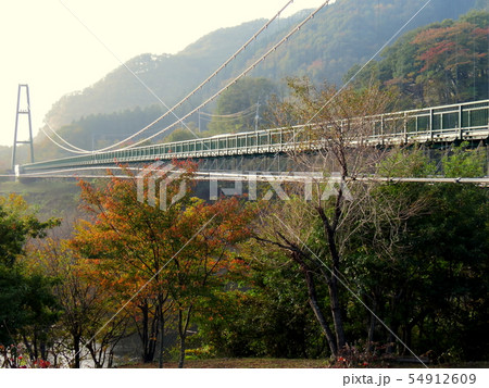 那須塩原 もみじ谷大吊橋 那須塩原 もみじ谷大吊橋 54912609