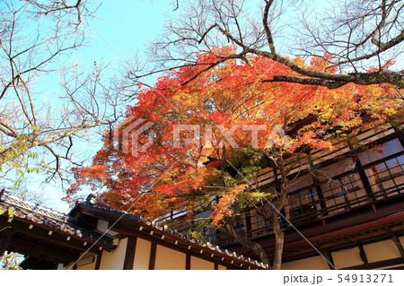 高遠城址公園 高遠城址公園 54913271