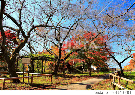 高遠城址公園 高遠城址公園 54913281