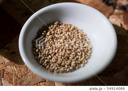 サラダ・ごま 54914066