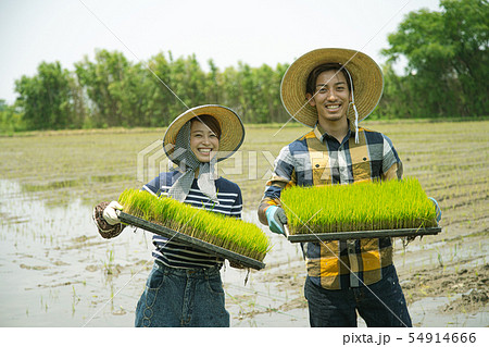 田植え　就農　Iターン　家族 54914666
