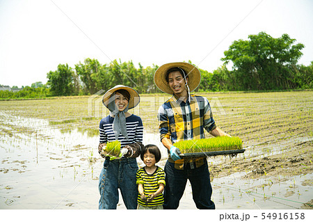 田植え　就農　Iターン　家族 54916158