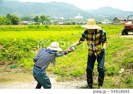 田植え　就農　Iターン　家族　体験 54918095
