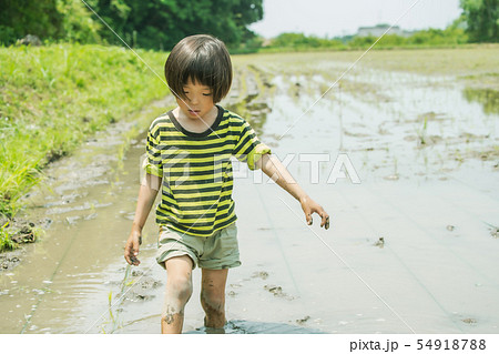 田植え体験　農家　子供 54918788