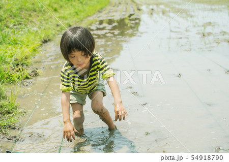 田植え体験　農家　子供 54918790