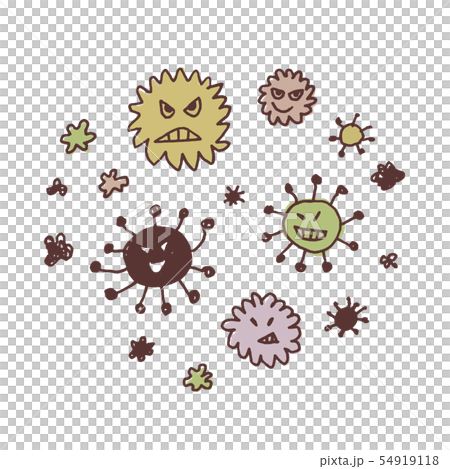 Bacteria 54919118