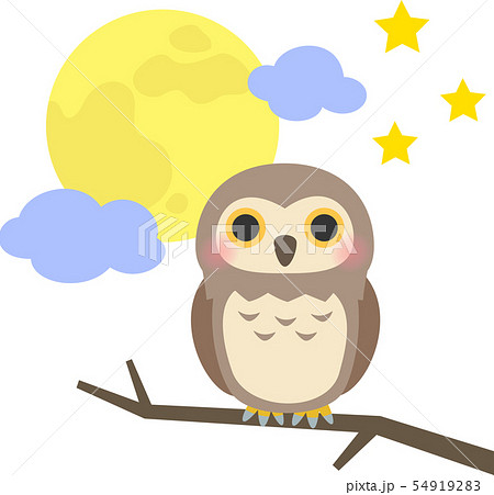 フクロウと夜空 フクロウと夜空 54919283