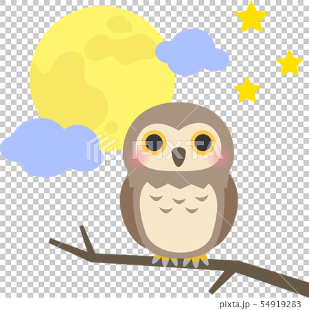 Owl and the night sky Owl and the night sky 54919283