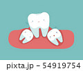 Wisdom tooth make tooth lose balance, dental  54919754