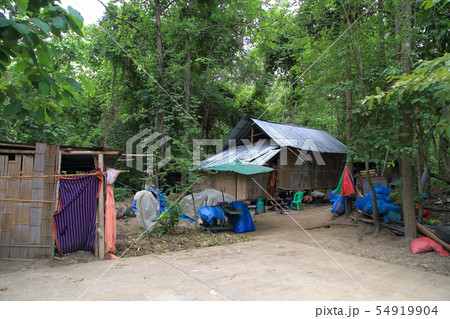 カレン族 54919904