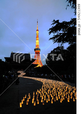 7月 芝公園71東京ﾀﾜｰと増上寺七夕まつり 和紙ｷｬﾝﾄﾞﾙﾅｲﾄの写真素材