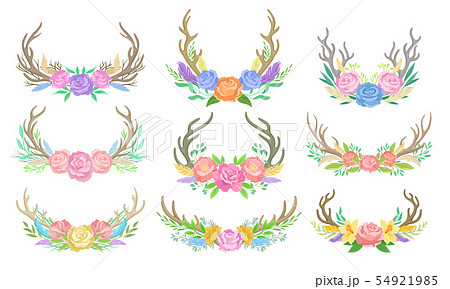 Set of compositions of flowers and branches. Vector illustration on white background. 54921985