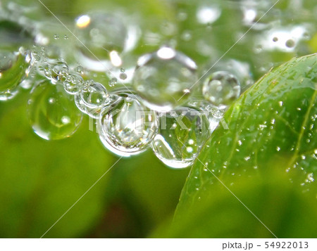 水滴の真珠 1 水滴の真珠 1 54922013