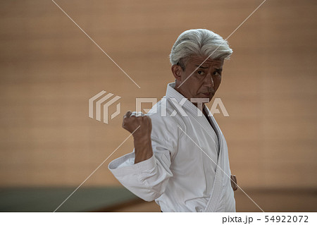 karateka karateka 54922072