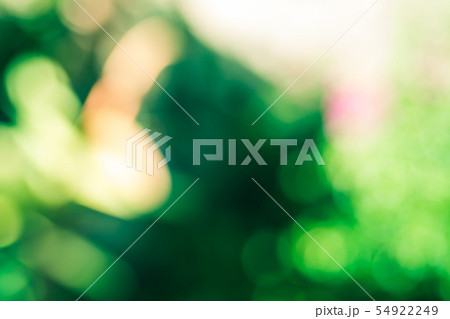 Abstract blur green and yellow natural background. Abstract blur green and yellow natural background. 54922249